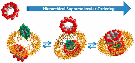 Graphical Abstract