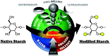 Graphical Abstract