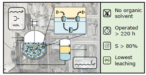 Graphical Abstract